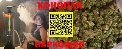 сатива Бузулук